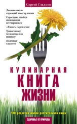gladkov_cover_kulinar-book